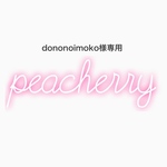 ネイルチップ dononoimoko様専用出品