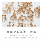 イヤリングパーツ アレルギー対応 シリコンキャッチ付 10ペア 20個 ap011369