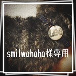 犬用 首輪&リード