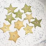 スターフルーツ 星型 の 押しフルーツ 素材 8枚 ボタニカル キャンドル ハーバリウム ドライフルーツ
