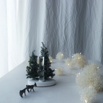 ふたごのクリスマスツリーとストームグラス
