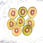 小さめ レインボーキウイ 押しフルーツ 8枚 ボタニカル キャンドル ハーバリウム アロマワックスバー ドライフラワー