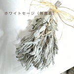 ホワイトセージ（無農薬）スワッグ　浄化　癒し