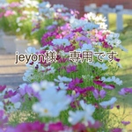 jeyon様 専用ページです。