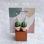 【うさぎ様　専用ページ】