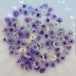パープル系 かすみ草ドライフラワー100粒