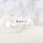 専用ページ