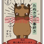 ポストカード、狸に憑かれてます
