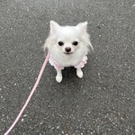 ☆li…様専用ページ☆