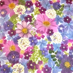 ♡new♡作家様必見♡押し花MIXセット♡押し花セット