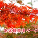 お客様専用ページ　ブレスレット6本