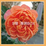S 様  専用BOX