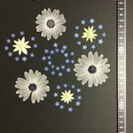 押し花 特別オーダー品 NO.282