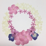天然押し花素材セット  8