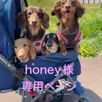 🐶honey 様専用ページ🐶