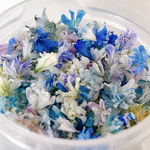 【寒色系】かすみ草の花びらセット