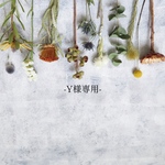 【Y様専用】針葉樹のフライングスワッグ　2点