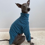 オーダー犬服 ソフトサーモ千鳥ジャガードニット  Tシャツ ターコイズ