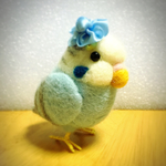 インコ セキセイインコ ブルー