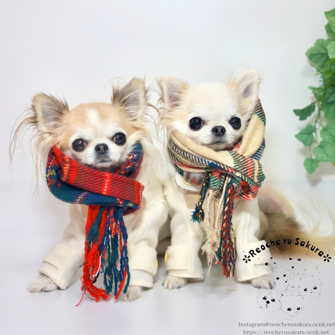 犬服 ダッフルコート フリース 暖かい かわいい おしゃれ 防寒着 秋冬