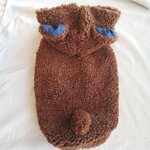犬服！Lsize！モコモコ　クマ