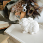 rabbit object