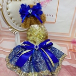 気まぐれシリーズ♡限定1着 豪華なロイヤルブルーのスペシャルドレス