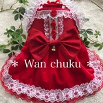 犬服 オーダー ⭐︎ クリスマス ＊ 素敵なサンタさん