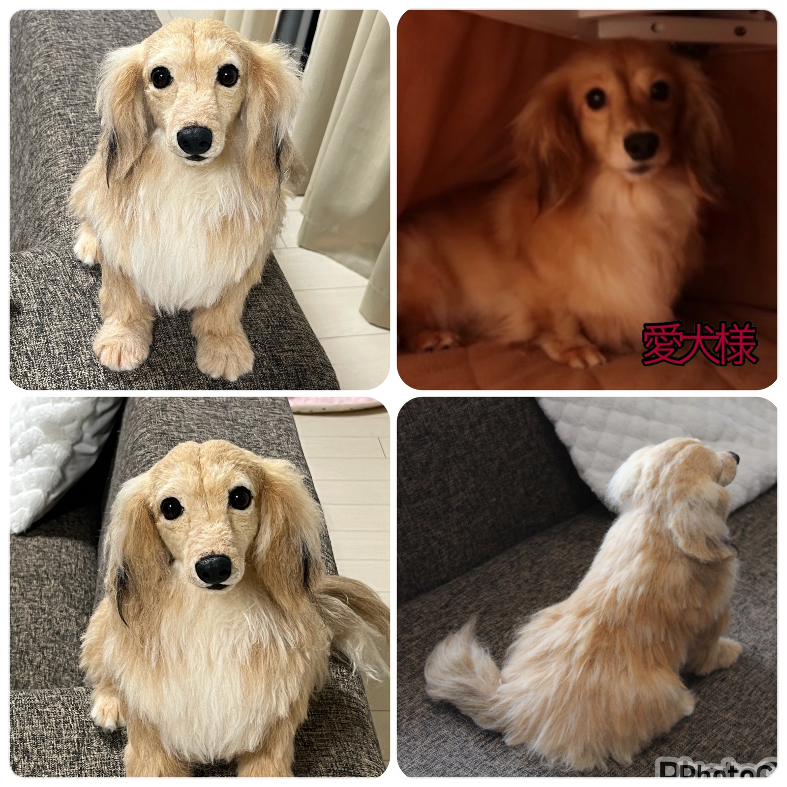 うちの子オーダー】リアル 実物大 愛犬さんのオーダー 羊毛フェルト