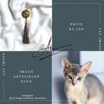 【アビシニアンブルーイメージ】両耳/猫ピアス・イヤリング/猫アクセサリー/猫雑貨/タッセルピアス・タッセルイヤリング/大ぶりピアス・大ぶりイヤリング/緑色・グリーン・グレー