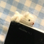 だらりんくまちゃんのイヤホンジャック(ホワイト)