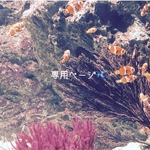専用ページ🫐