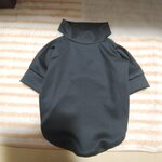 専用ページ