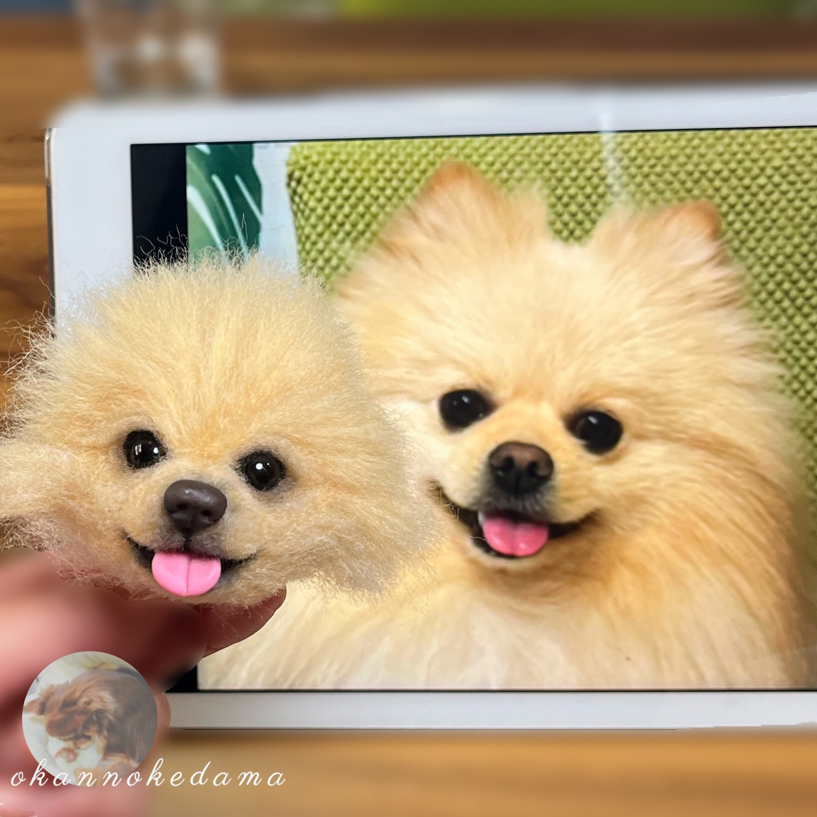 3D犬 ポメラニアン オーダーメイド 羊毛フェルト 犬 - OKAN