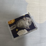 チンチラ　マグネット　小