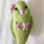 インコ マメルリハ グリーン