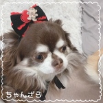 new🕺チェックくまさん🧸ラブリー💕おリボンヘドレ