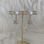 new！雪の結晶【イヤリングorピアス】