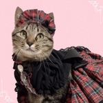 送料無料☆彡Lサイズパフスリーブが可愛いチェック柄大人クリスマスワンピース②〜猫のワンピース