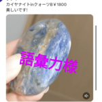 11/17まで 語彙力様