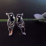 インコピアス（イヤリング不可）