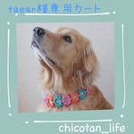 ⭐︎ taear様専用カート⭐︎他の方のご購入はお控えください