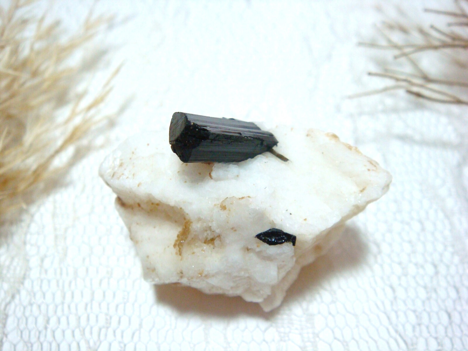 オーストラリアライトニングリッジ産ブラックオパール 約4ct
