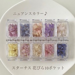 ニュアンスカラースターチス 花びら 10種類詰め合わせ