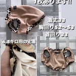 イタグレの服　イタグレ服