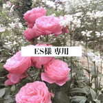 ES様 専用