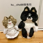 専用ページ