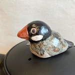 常滑焼　急須『文鳥と私』お茶とコーヒーを楽しめる急須