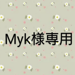 Myk様専用…ミニチュアの花セット