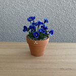 ビオラの花鉢